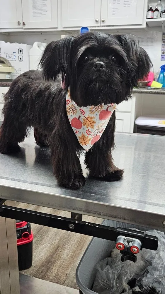 Trusted lawn care service in West Union, OH - Briley’s Diversified Services