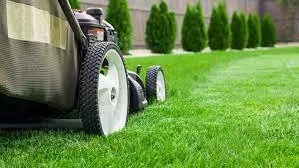 Trusted landscaping services for homes across Fort Myers, FL - Brilliant Environment Lawn Care