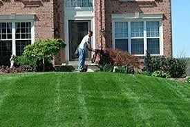 Local outdoor landscaping in Fort Myers, FL by Brilliant Environment Lawn Care