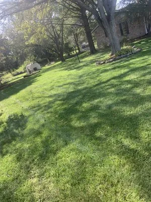 Brilliant Lawn Care