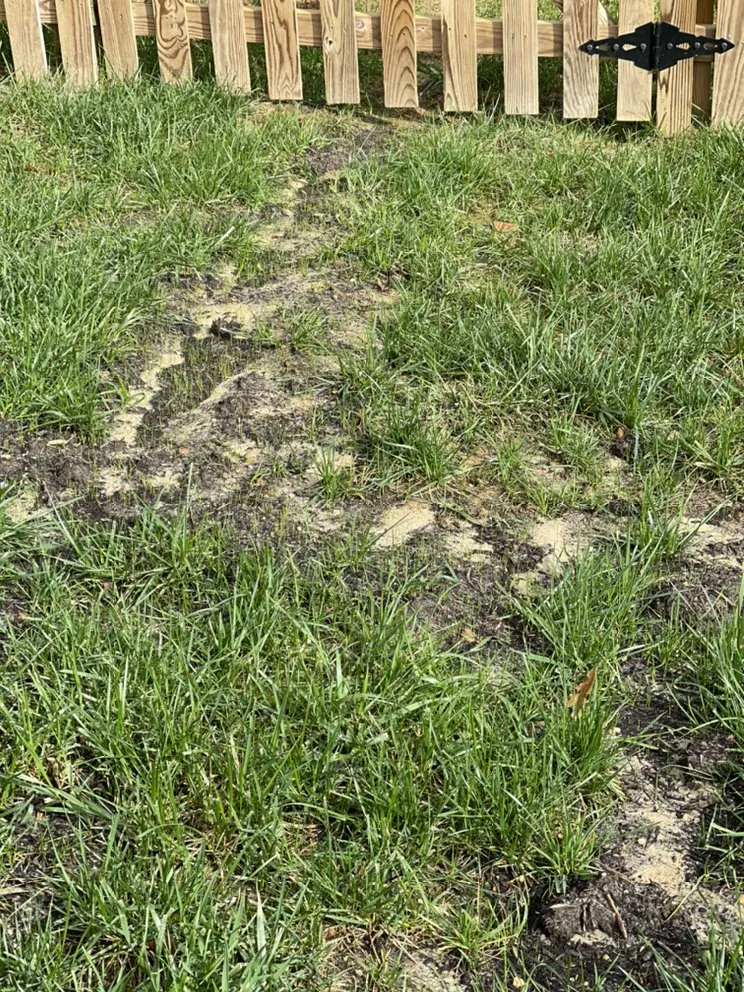 Professional residential landscaping for residential properties across New Kent, VA - Brilliant Mind Landscaping