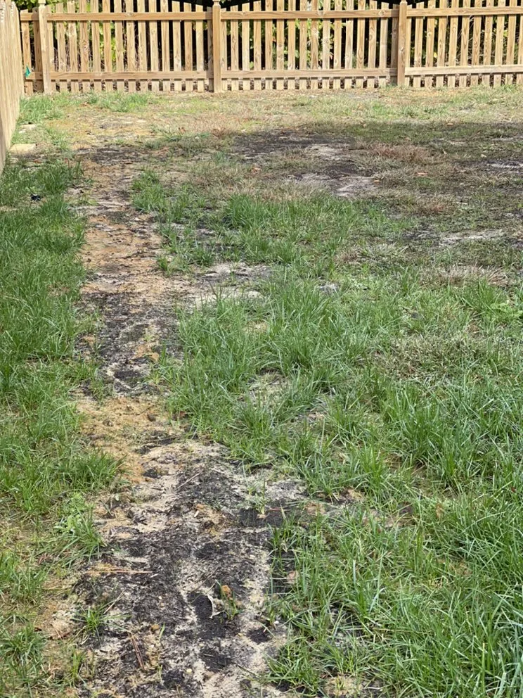 Affordable lawn mowing service for year-round maintenance across New Kent, VA - Brilliant Mind Landscaping