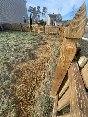 Brilliant Mind Landscaping Logo