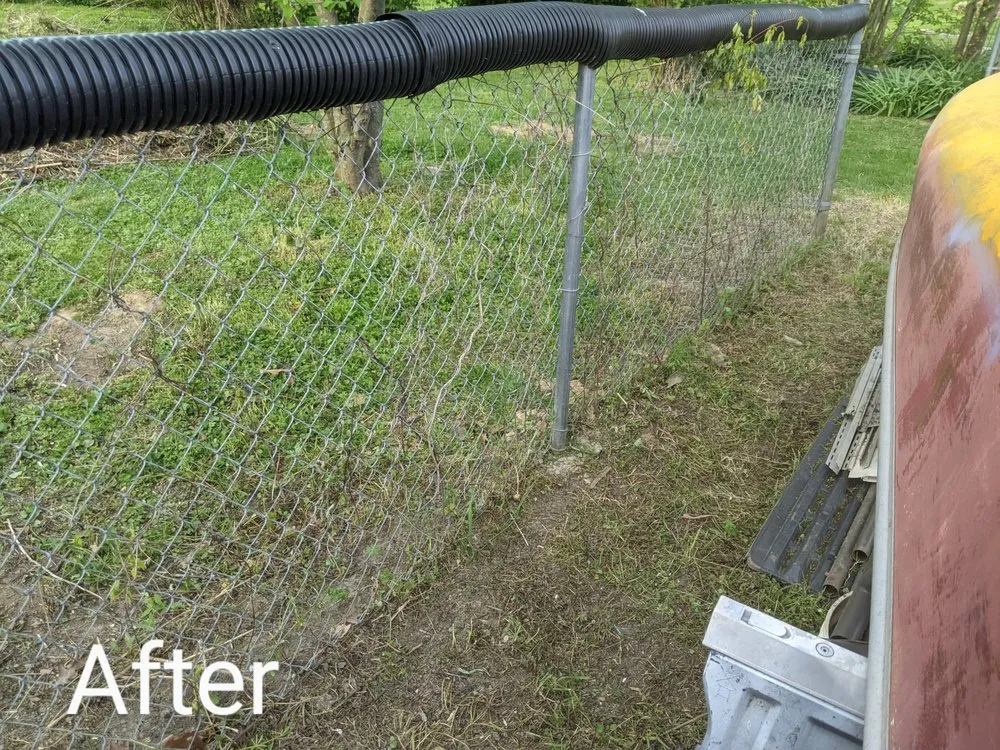 Affordable residential landscaping in Louisville, KY by Bring it Back to Life