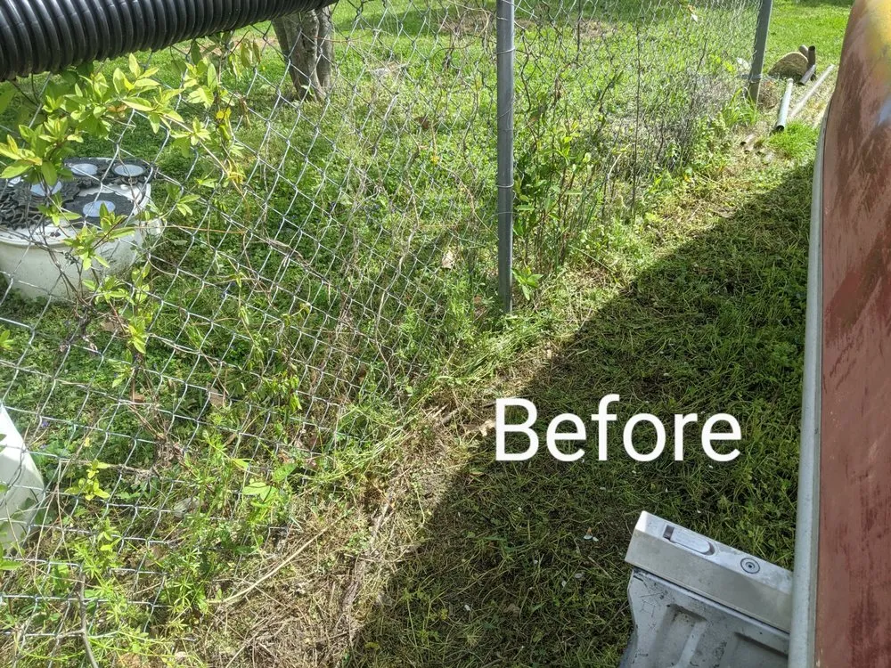 Local landscaping services experts serving Louisville, KY - Bring it Back to Life