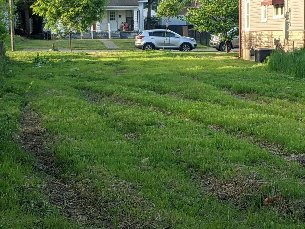 Local yard cleanup service in Louisville, KY by Bring it Back to Life