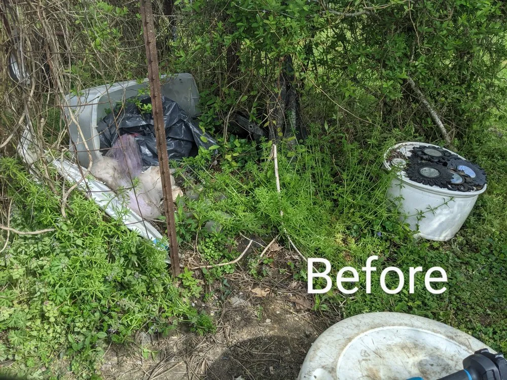 Affordable landscaping services in Louisville, KY by Bring it Back to Life