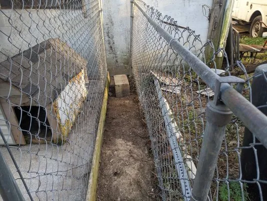 Bring it Back to Life Logo