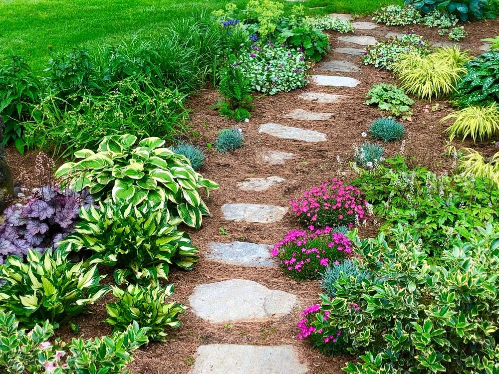 Trusted yard cleanup service in Greenwich, CT - Bringing The Greenback