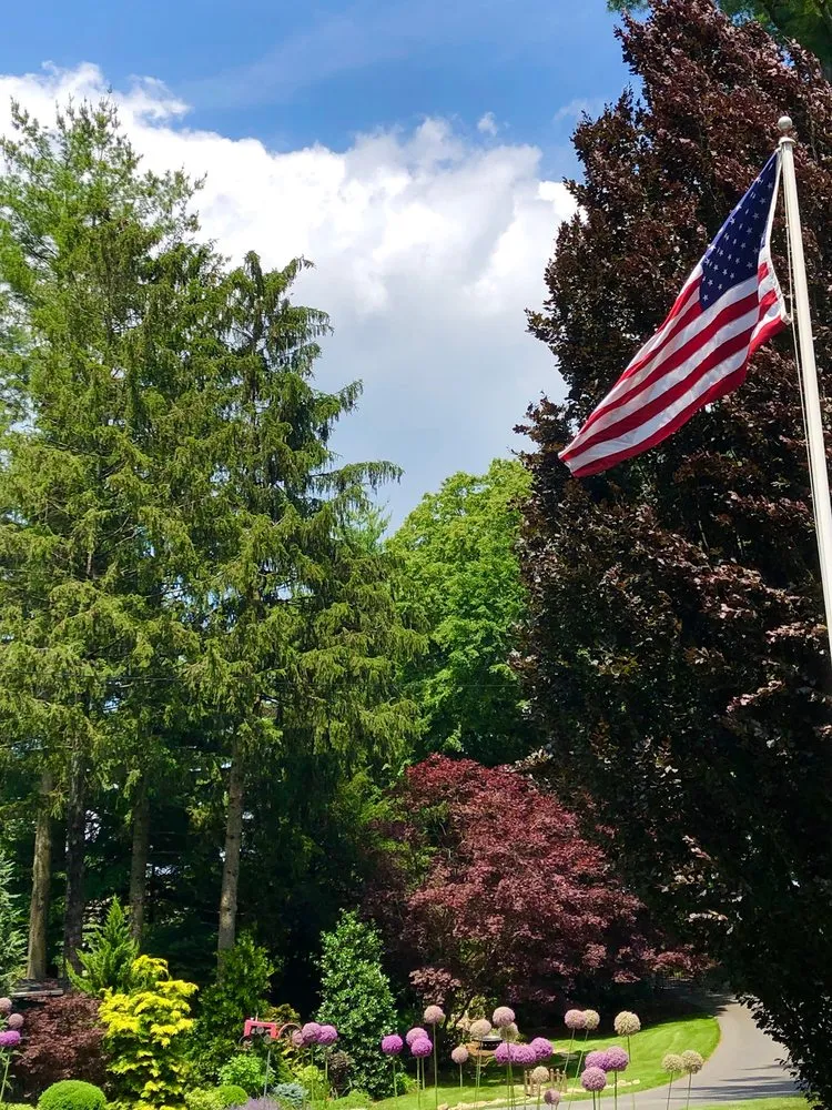 Reliable yard cleanup service for outdoor upgrades in Greenwich, CT by Bringing The Greenback