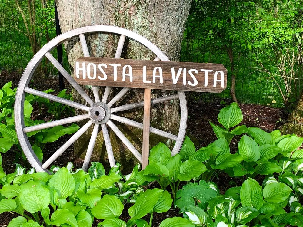 Trusted outdoor landscaping in Greenwich, CT - Bringing The Greenback