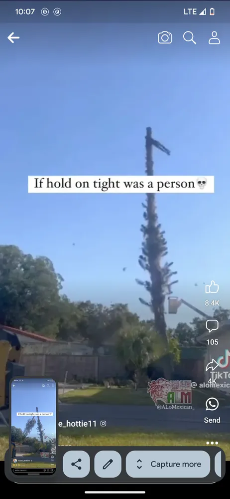 Top-rated yard maintenance in Merrill, WI - Bringing U Miracles