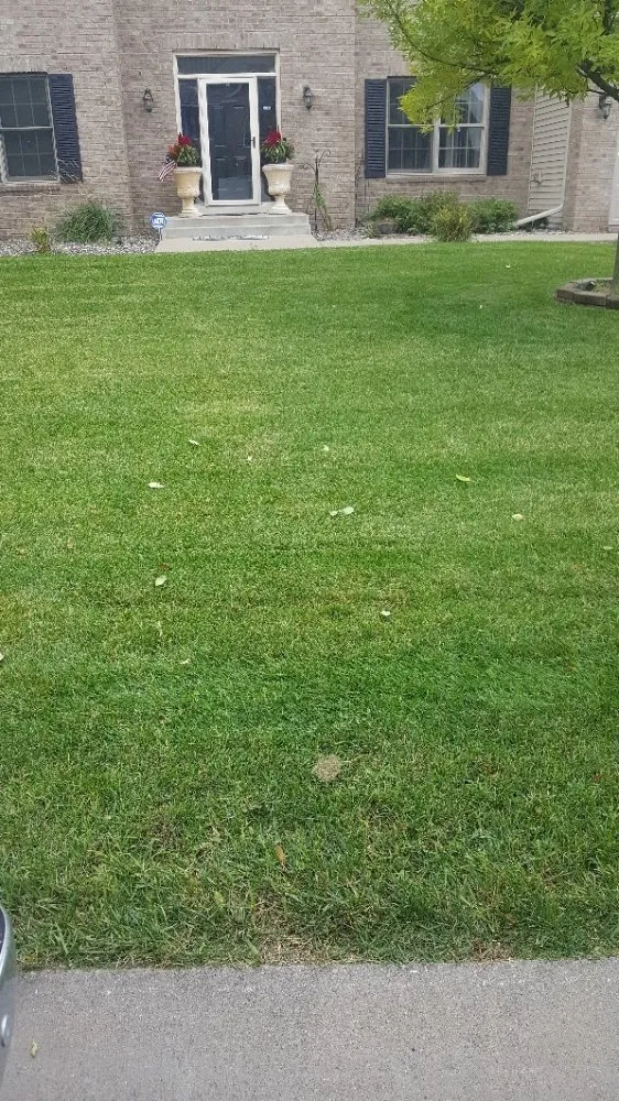 Reliable landscape installation with custom design across Brooklyn Park, MN - Brinkley