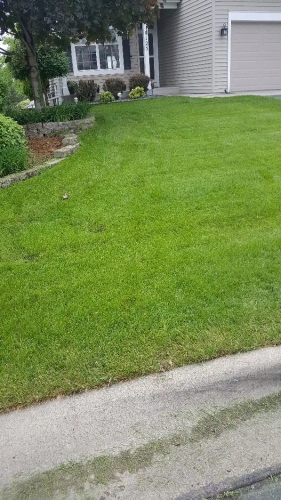 Professional yard cleanup service near you across Brooklyn Park, MN - Brinkley