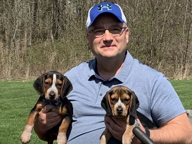 Expert yard cleanup service with custom design across Navarre, OH - Brinley's Mowing and Landscaping