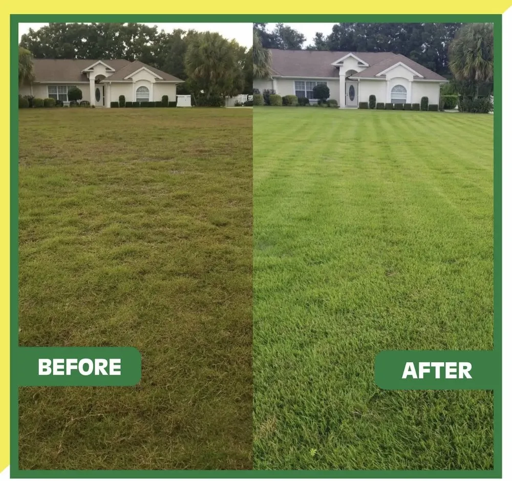 Top-rated outdoor landscaping for beautiful yards across Augusta, GA - Brinson Landscaping Services