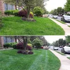 Top-rated yard cleanup service for year-round maintenance across Augusta, GA - Brinson Landscaping Services