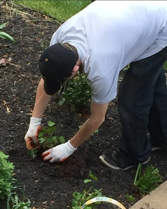Professional garden landscaping for outdoor upgrades in Sterling, VA by Brinson's Curb Appeal