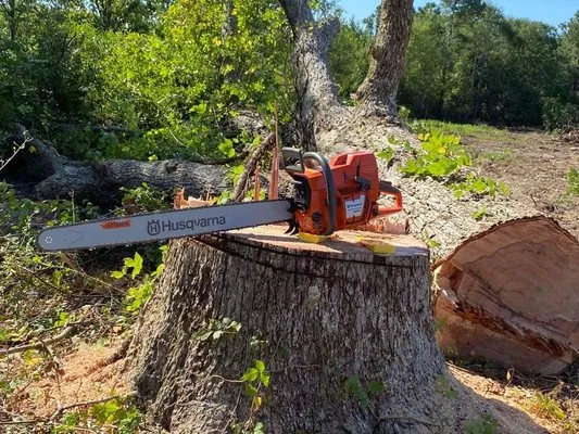 Brinson’s Lawn Care & Tree Removal