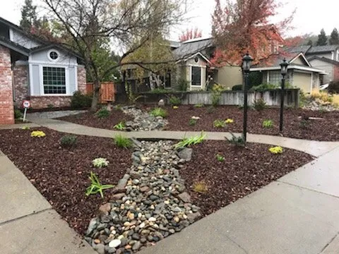 Trusted lawn care service in Wilton, CA by Brio Landscaping