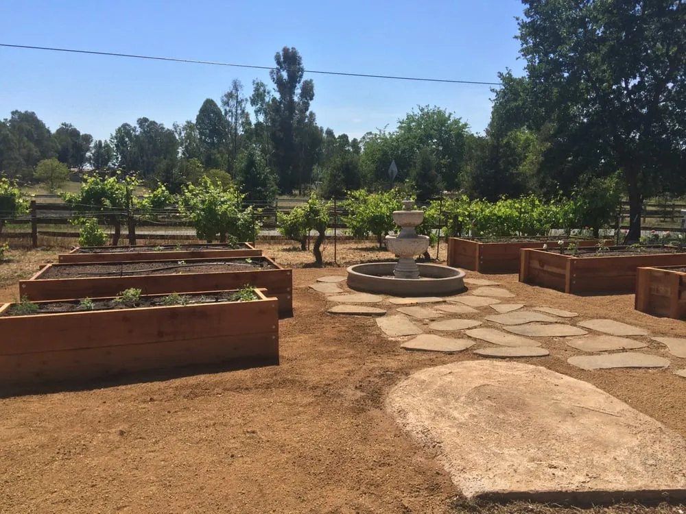 Custom yard maintenance for year-round maintenance in Wilton, CA by Brio Landscaping