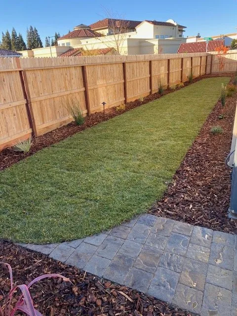 Professional yard cleanup service for outdoor upgrades across Wilton, CA - Brio Landscaping