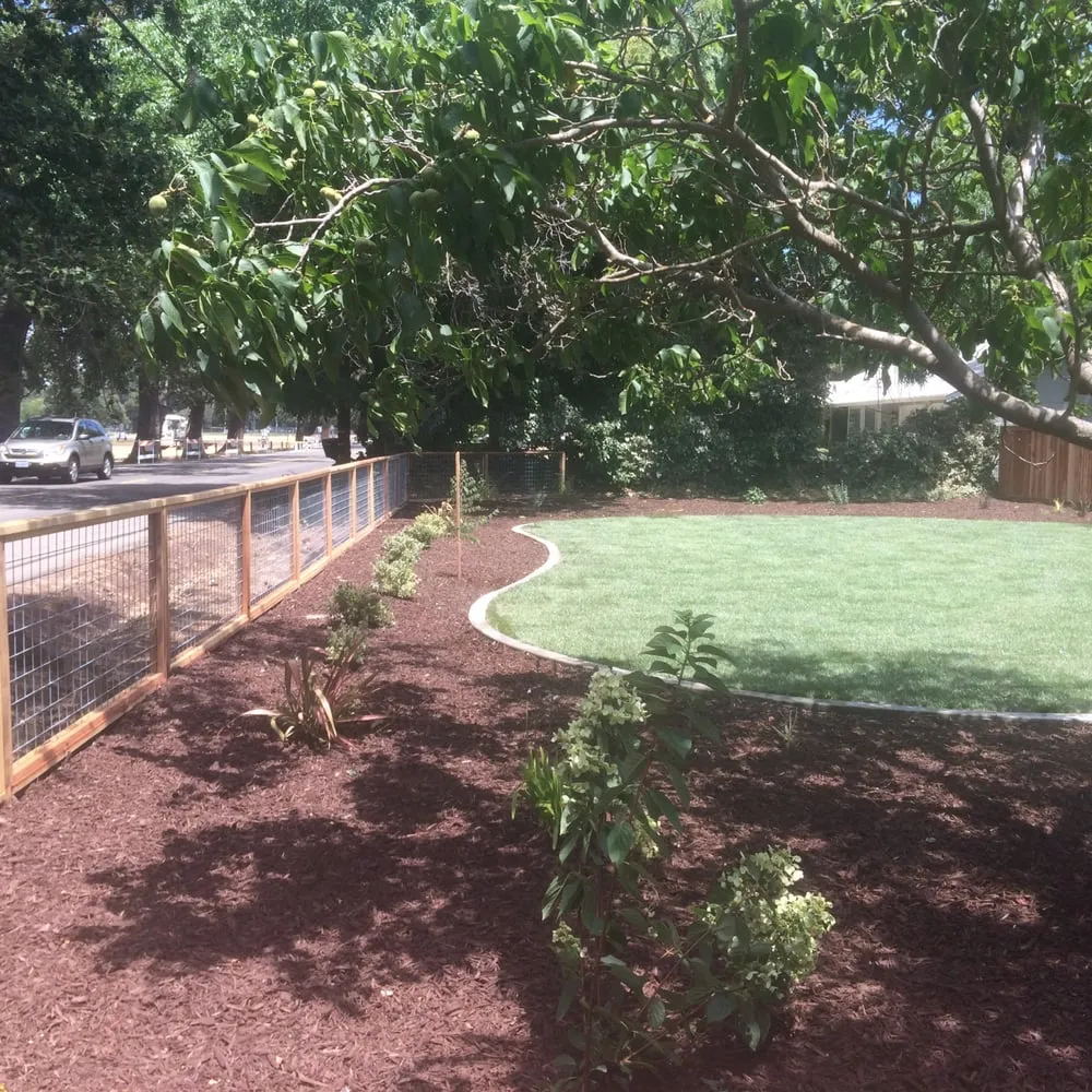 Affordable yard maintenance in Wilton, CA by Brio Landscaping