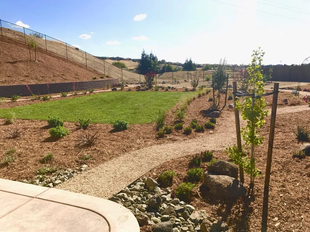 Affordable landscaping services experts serving Wilton, CA - Brio Landscaping