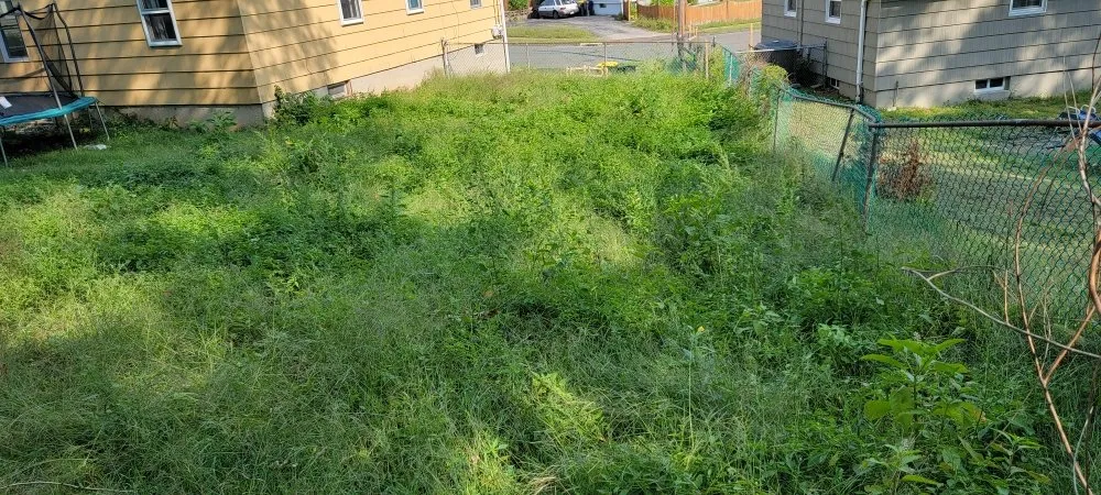 Top-rated residential landscaping experts serving New Haven, CT - Briones Lawn Care