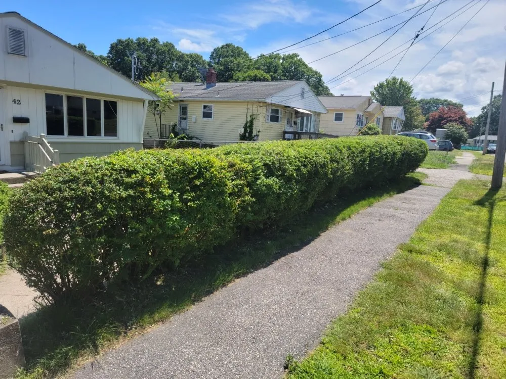 Affordable lawn mowing service in New Haven, CT by Briones Lawn Care