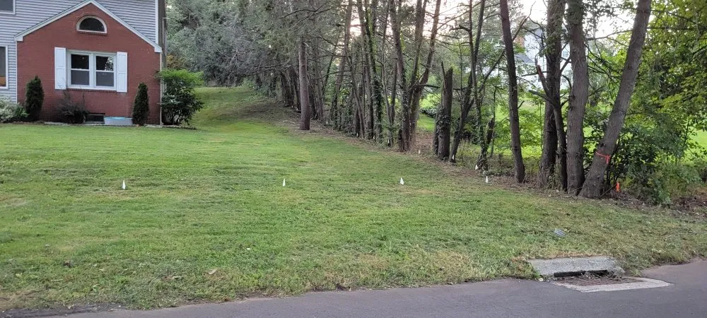 Professional landscape design in New Haven, CT - Briones Lawn Care