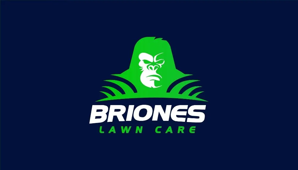 Custom lawn care service for residential properties in New Haven, CT by Briones Lawn Care