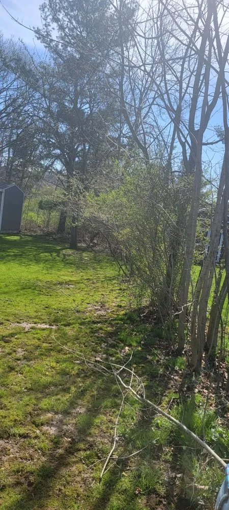 Custom landscaping services with custom design in New Haven, CT by Briones Lawn Care