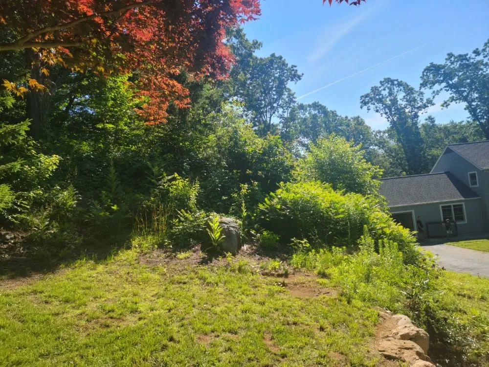 Trusted residential landscaping for year-round maintenance in New Haven, CT by Briones Lawn Care