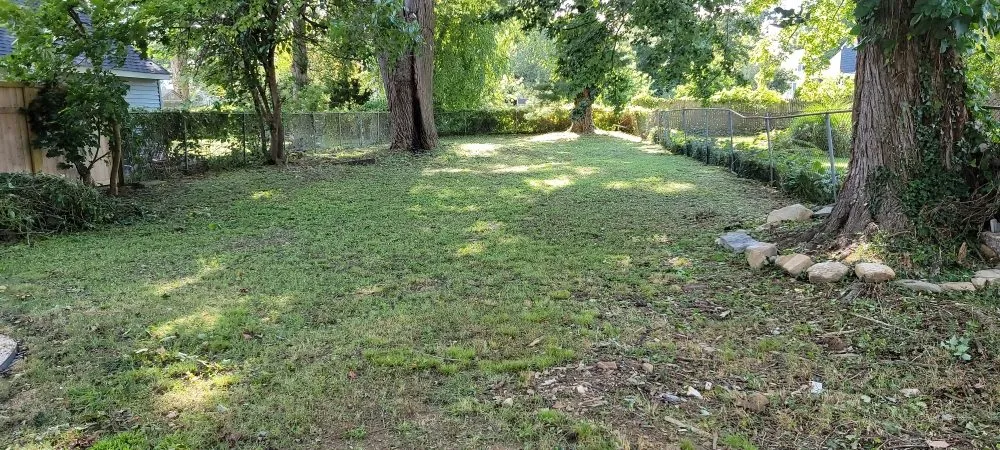 Top-rated yard cleanup service in New Haven, CT by Briones Lawn Care