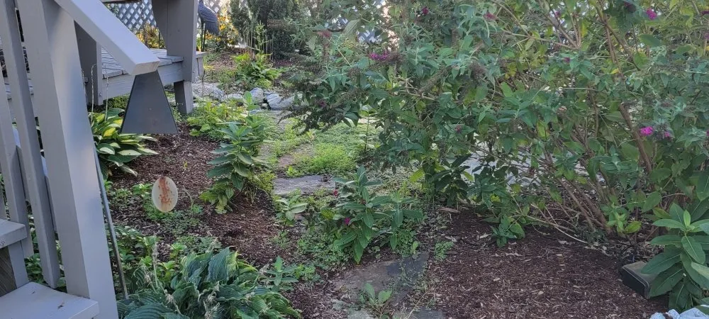 Custom landscape installation in New Haven, CT - Briones Lawn Care