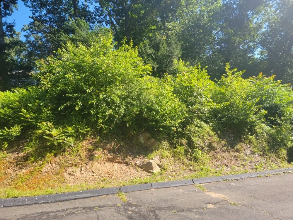 Professional landscaping services in New Haven, CT by Briones Lawn Care