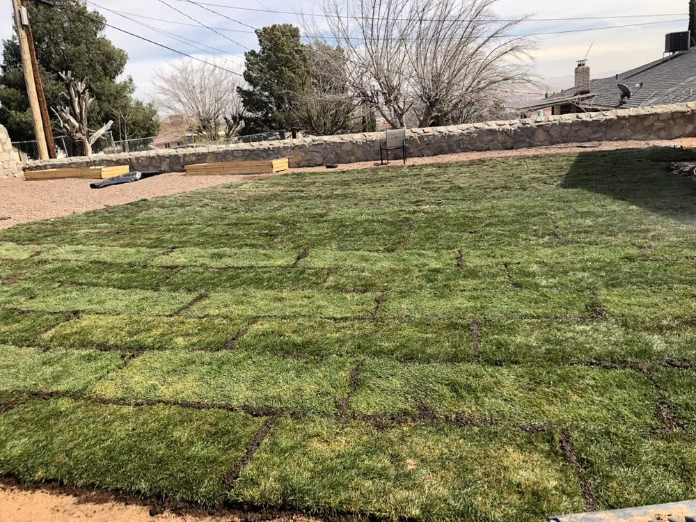 Affordable yard maintenance in San Antonio, TX - Briones ProScapes