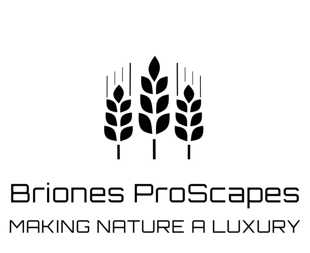 Local landscape design with custom design across San Antonio, TX - Briones ProScapes