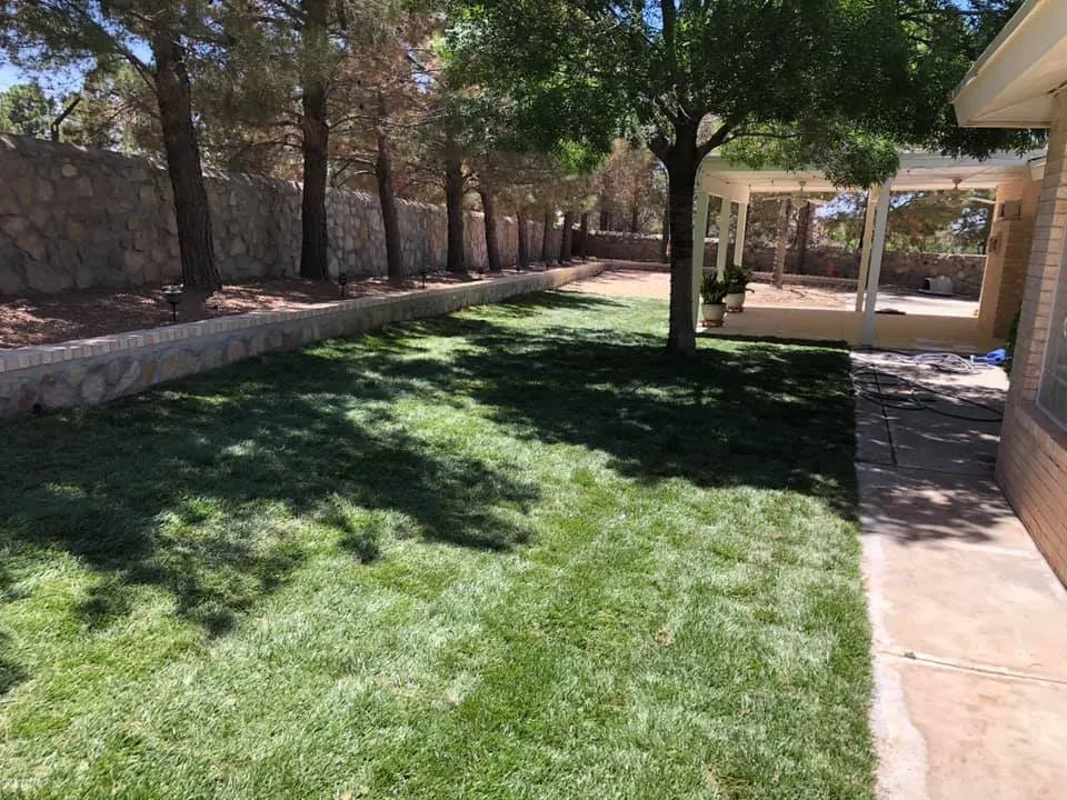 Local outdoor landscaping for beautiful yards across San Antonio, TX - Briones Services