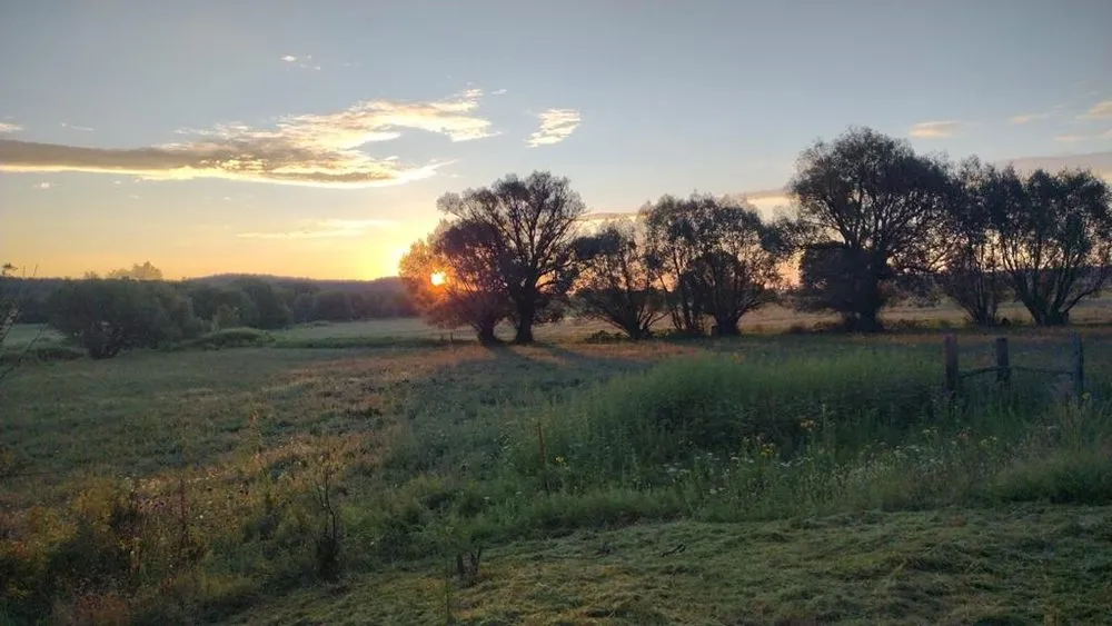 Trusted yard cleanup service near you across Santa Fe, NM - Brisas Landscaping