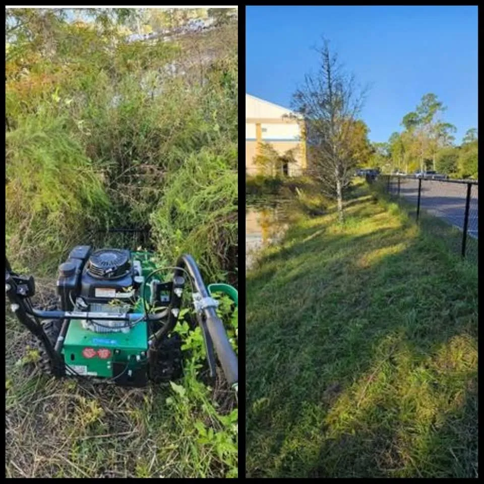 Top-rated outdoor landscaping experts serving Jacksonville, FL - Briscar Lawn & Landscape