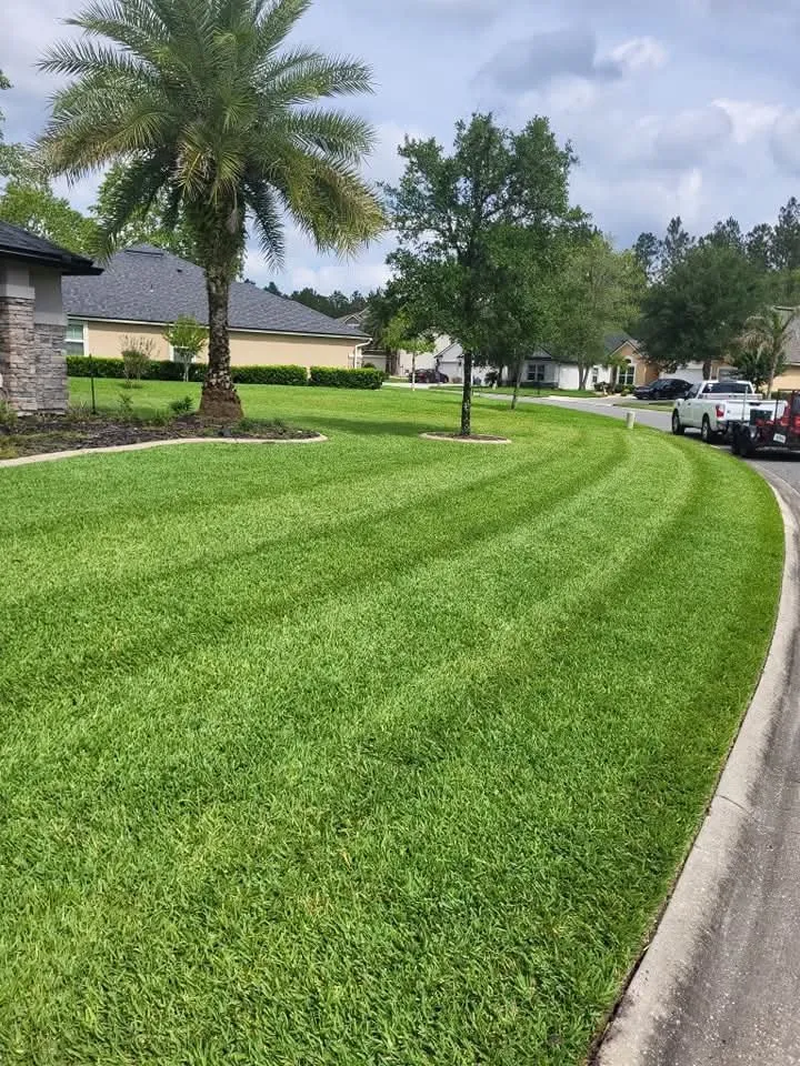Top-rated outdoor landscaping with custom design in Jacksonville, FL by Briscar Lawn & Landscape