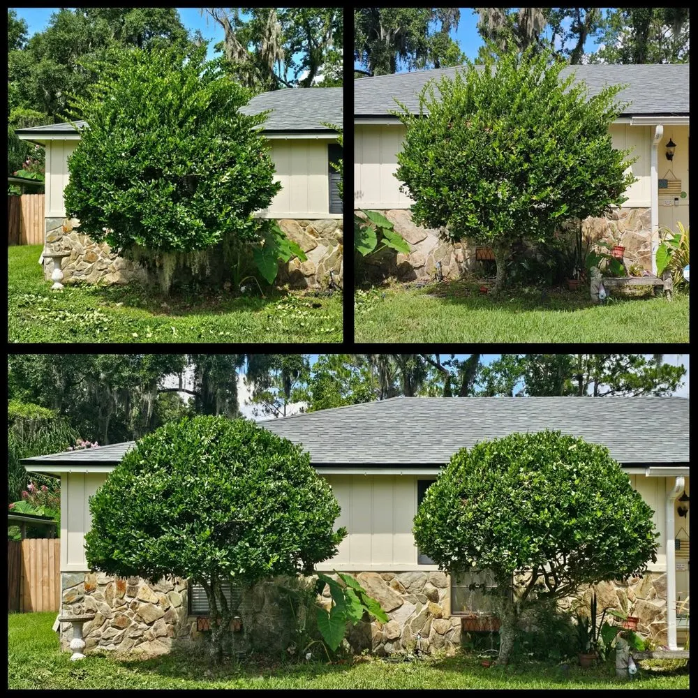 Trusted lawn mowing service for residential properties in Jacksonville, FL by Briscar Lawn & Landscape