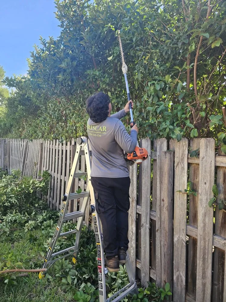 Reliable yard maintenance with custom design across Jacksonville, FL - Briscar Lawn & Landscape