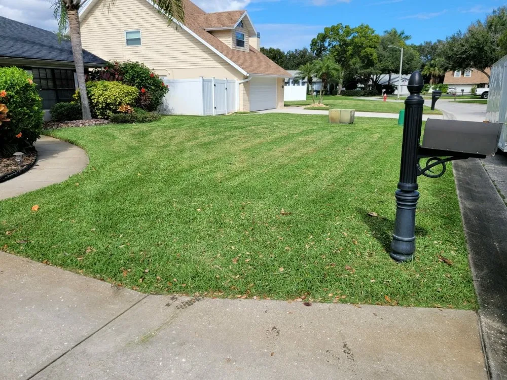 Trusted landscaping services experts serving Kenneth, FL - Briscoe Brothers Lawn Care