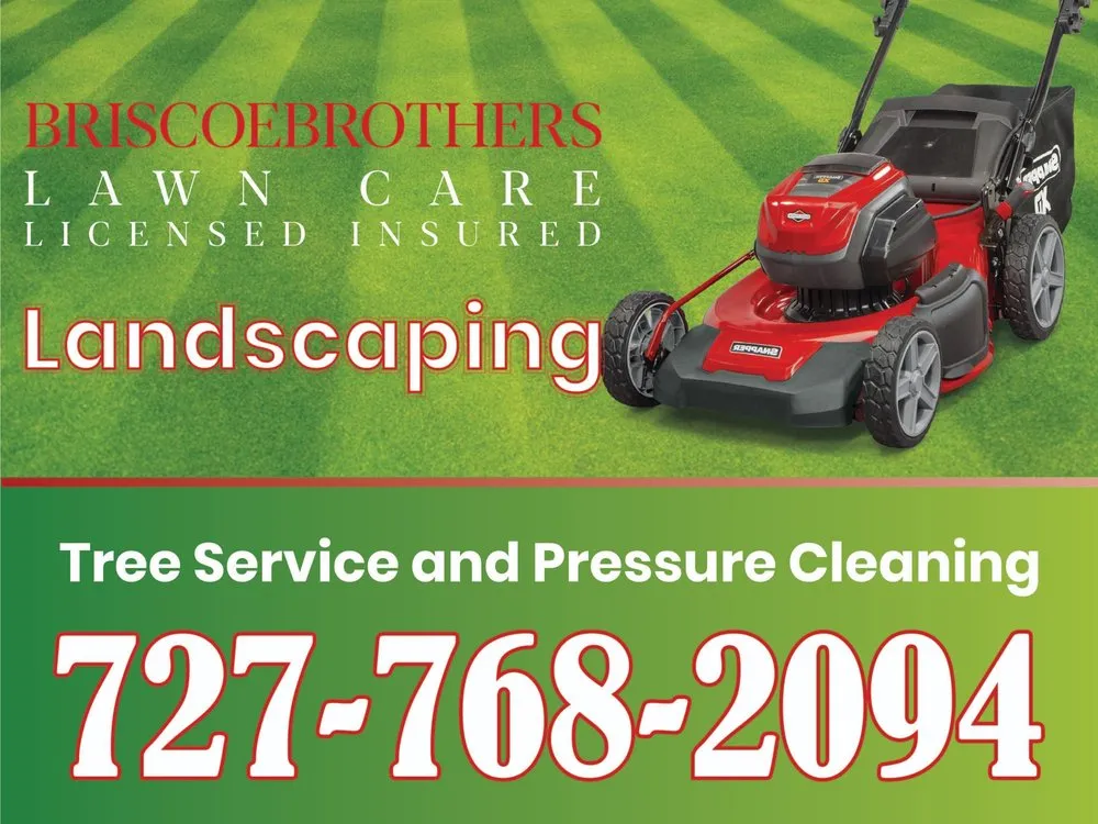 Local landscape design experts serving Kenneth, FL - Briscoe Brothers Lawn Care