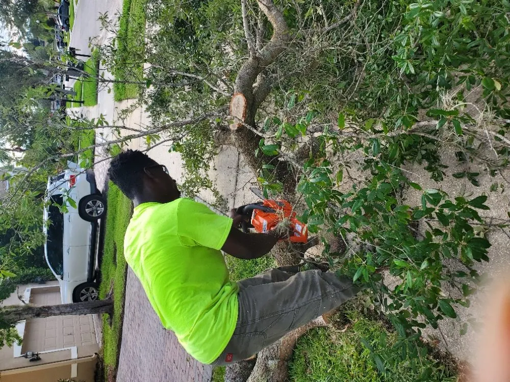 Affordable outdoor landscaping in Kenneth, FL by Briscoe Brothers Lawn Care