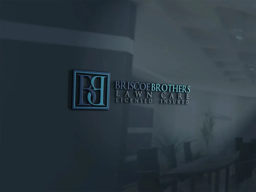 Professional outdoor landscaping in Kenneth, FL - Briscoe Brothers Lawn Care
