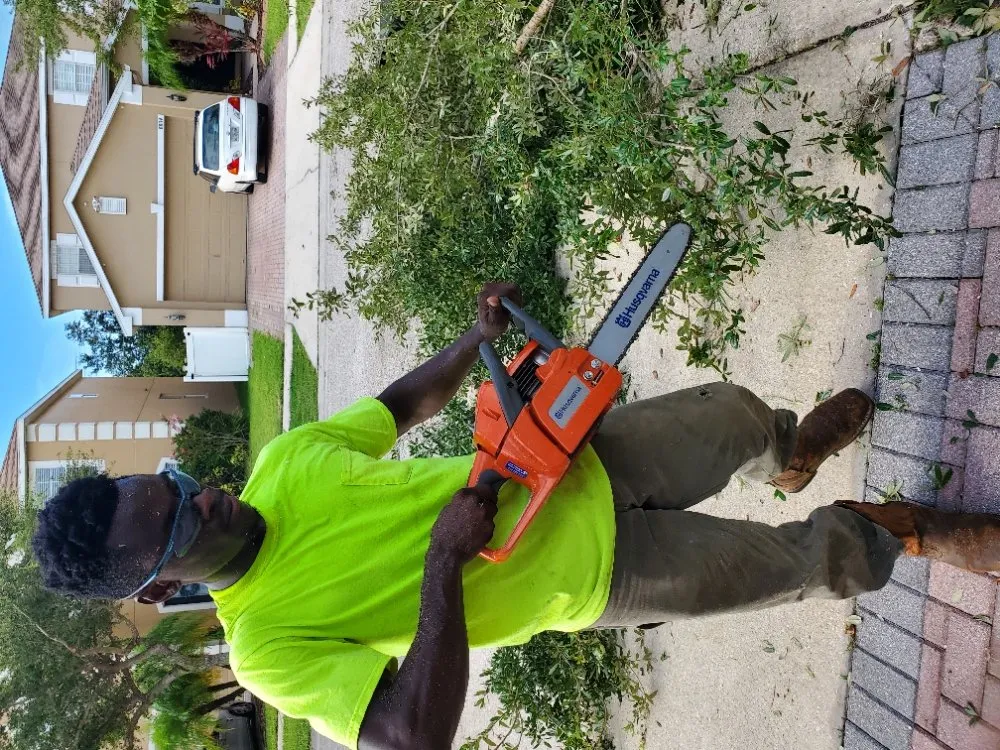 Custom yard cleanup service experts serving Kenneth, FL - Briscoe Brothers Lawn Care